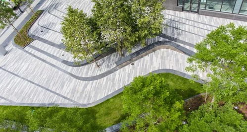 一棵樹,一片池,一個造型,變美景 旅游 網