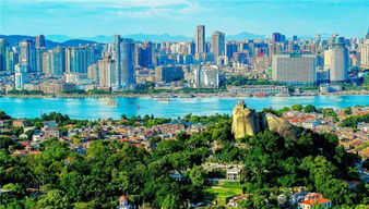 推進城市治理體系和治理能力現(xiàn)代化 廈門各界掀起學習貫徹黨的十九屆四中全會精神熱潮