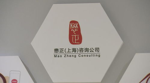 從公職到創業 崇明青年的無邊風景與技術咨詢夢